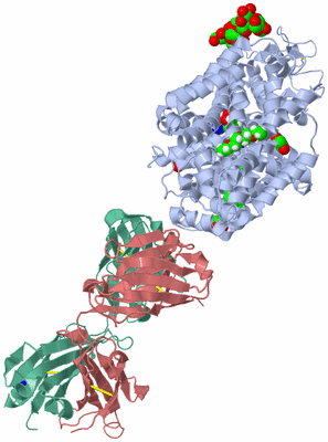 Image Asym./Biol. Unit