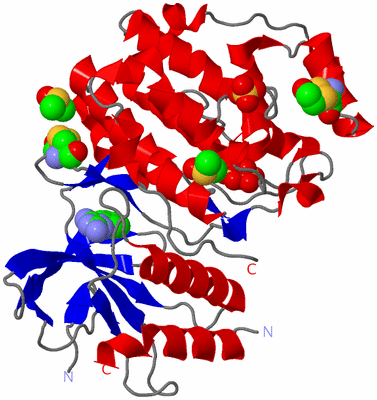 Image Asym./Biol. Unit