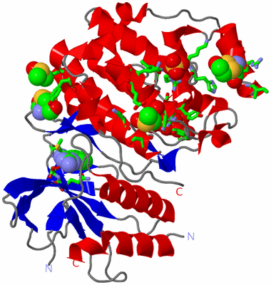 Image Asym./Biol. Unit - sites