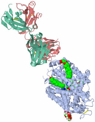 Image Asym./Biol. Unit