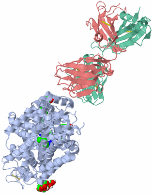 Image Asym./Biol. Unit