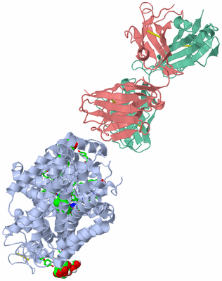 Image Asym./Biol. Unit - sites