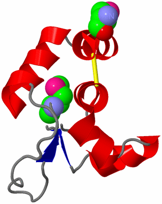 Image Asym./Biol. Unit