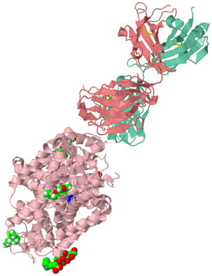 Image Asym./Biol. Unit