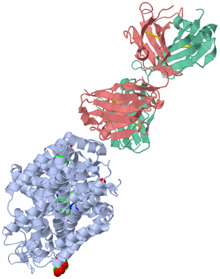 Image Asym./Biol. Unit