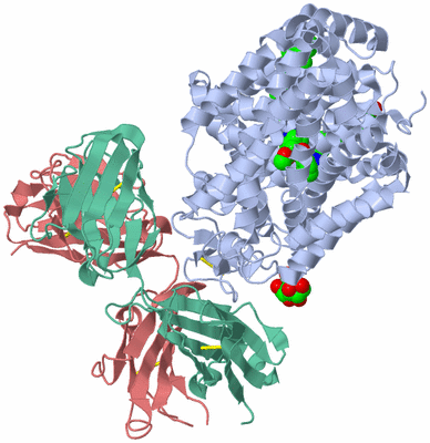 Image Asym./Biol. Unit