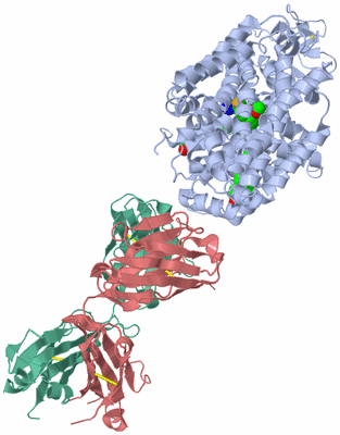 Image Asym./Biol. Unit