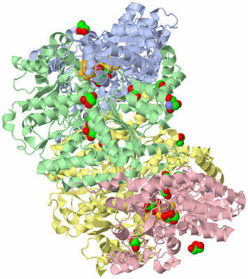 Image Asym./Biol. Unit