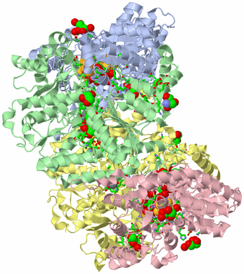 Image Asym./Biol. Unit - sites