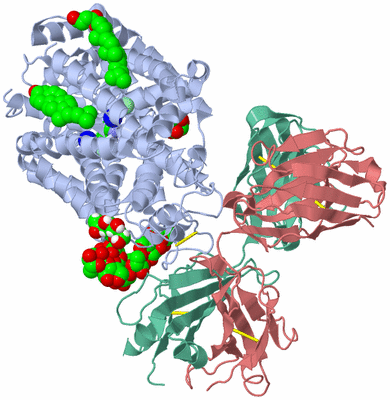 Image Asym./Biol. Unit