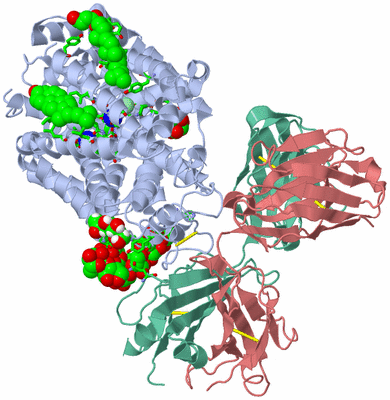 Image Asym./Biol. Unit - sites