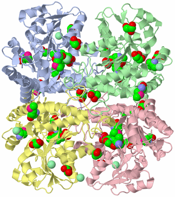 Image Biological Unit 1