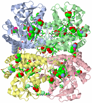 Image Biol. Unit 1 - sites