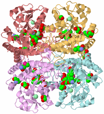 Image Biological Unit 2