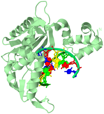 Image Biological Unit 1