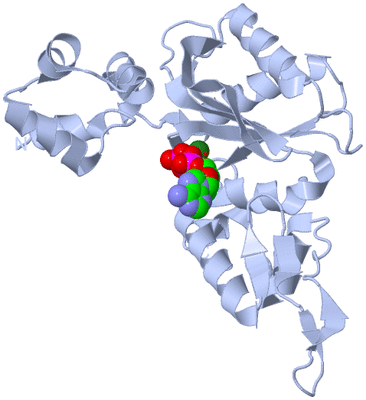 Image Biological Unit 2