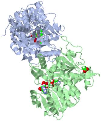 Image Asym./Biol. Unit