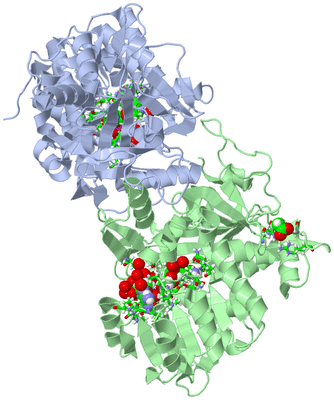 Image Asym./Biol. Unit - sites