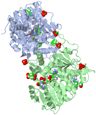 Image Asym./Biol. Unit