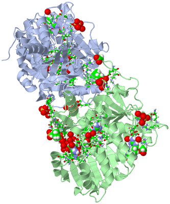 Image Asym./Biol. Unit - sites