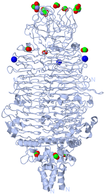 Image Biological Unit 1