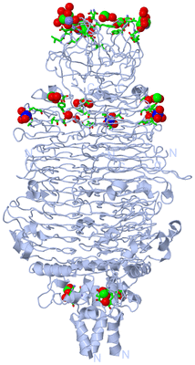 Image Biol. Unit 1 - sites