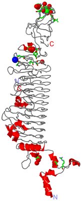 Image Asym. Unit - sites