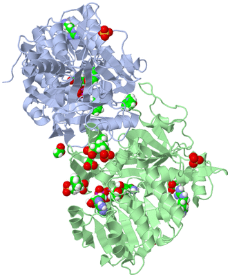 Image Asym./Biol. Unit