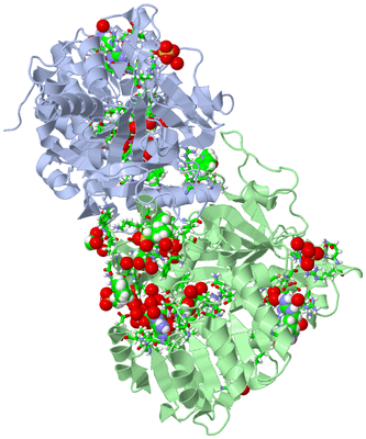 Image Asym./Biol. Unit - sites