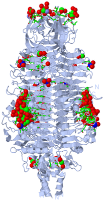 Image Biol. Unit 1 - sites