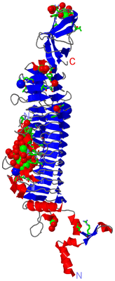 Image Asym. Unit - sites