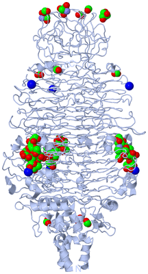 Image Biological Unit 1