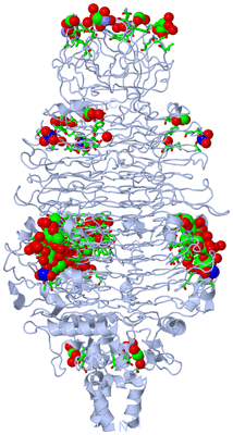 Image Biol. Unit 1 - sites