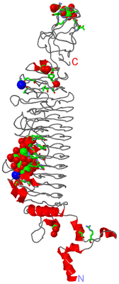 Image Asym. Unit - sites