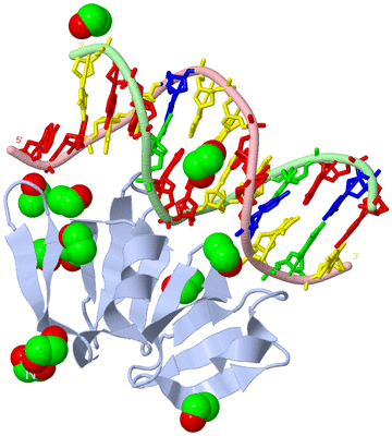 Image Biological Unit 1