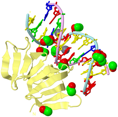 Image Biological Unit 2