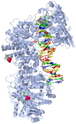 Image Biol. Unit 1 - sites