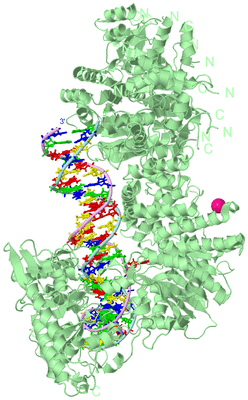 Image Biological Unit 2