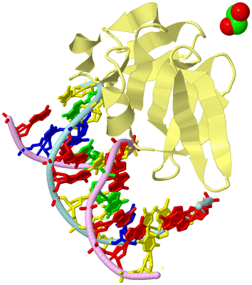 Image Biological Unit 2