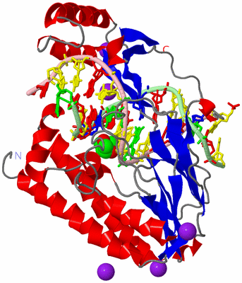 Image Asym./Biol. Unit