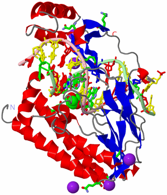 Image Asym./Biol. Unit - sites