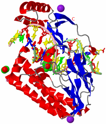 Image Asym./Biol. Unit