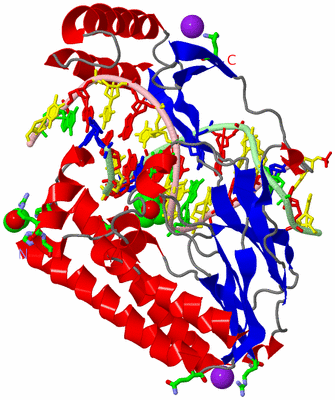 Image Asym./Biol. Unit - sites