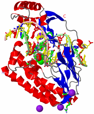 Image Asym./Biol. Unit - sites