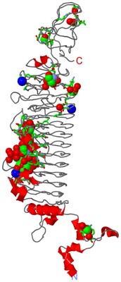 Image Asym. Unit - sites