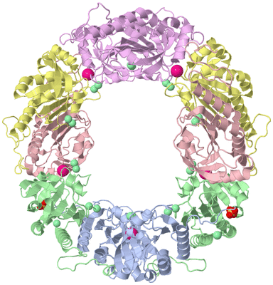 Image Biological Unit 1