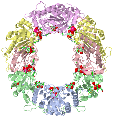 Image Biol. Unit 1 - sites