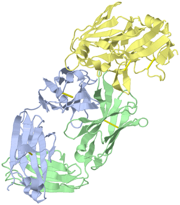 Image Biological Unit 1