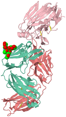 Image Biological Unit 2