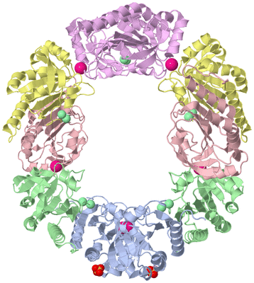 Image Biological Unit 1